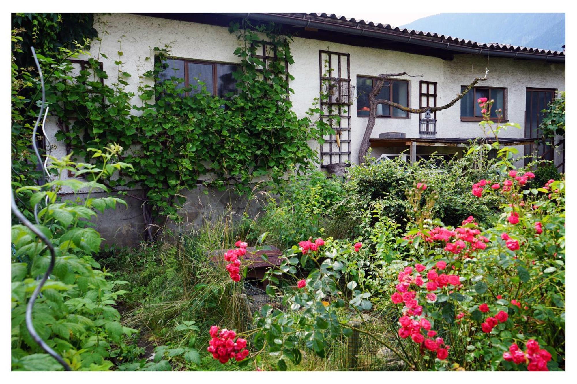 Ingrid'S Guesthouse Spittal シュピッタール・アン・デア・ドラウ エクステリア 写真